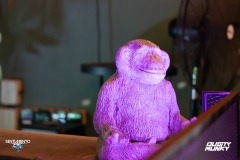 20240421_sentimiento_IG_-35